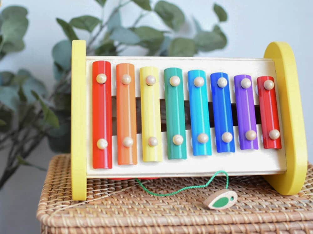 [Ed.Inter]森の音楽会