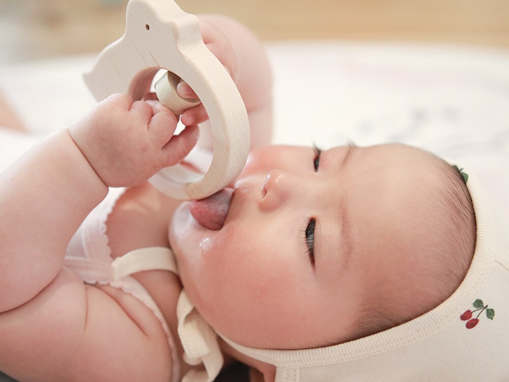 [Ed.Inter]どうぶつラトル