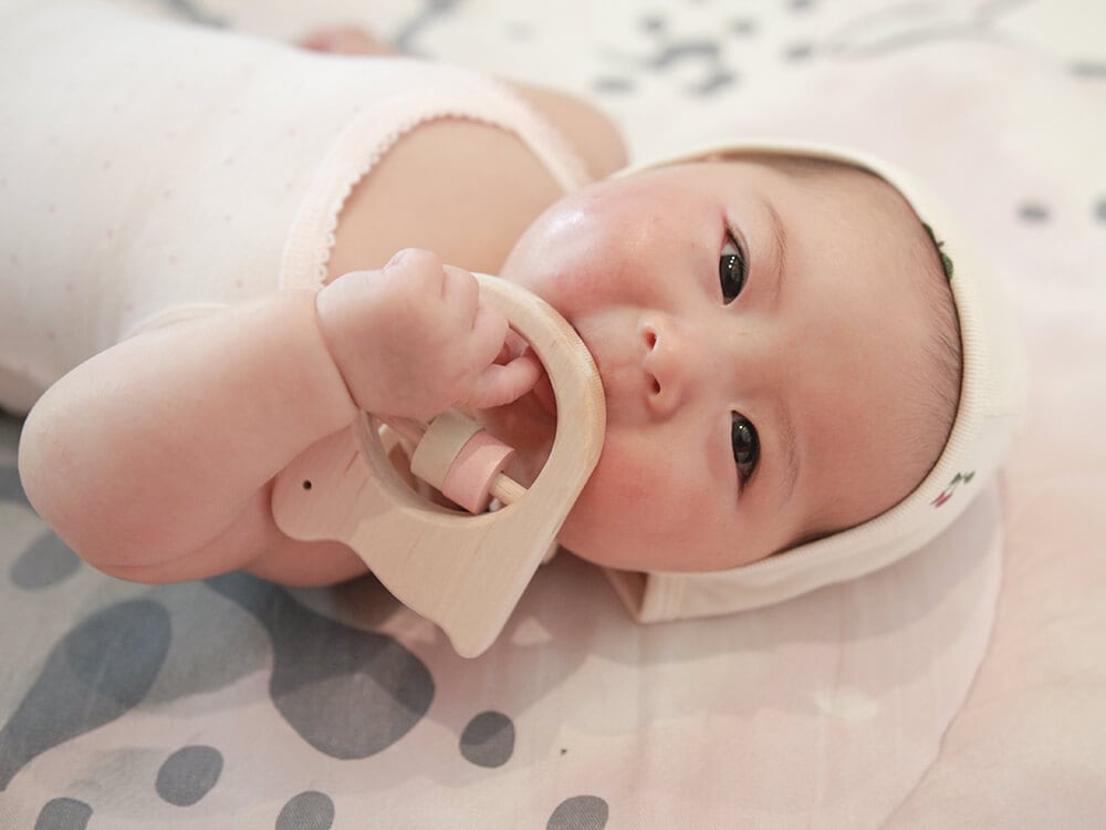 [Ed.Inter]どうぶつラトル