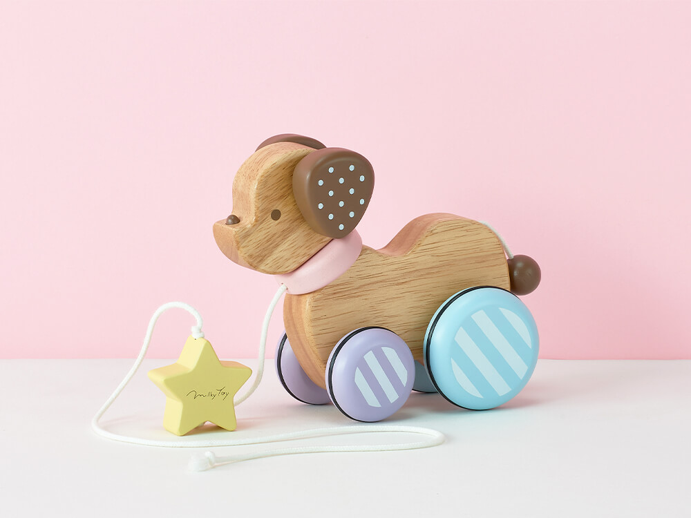 [Ed.Inter]Candy Puppy