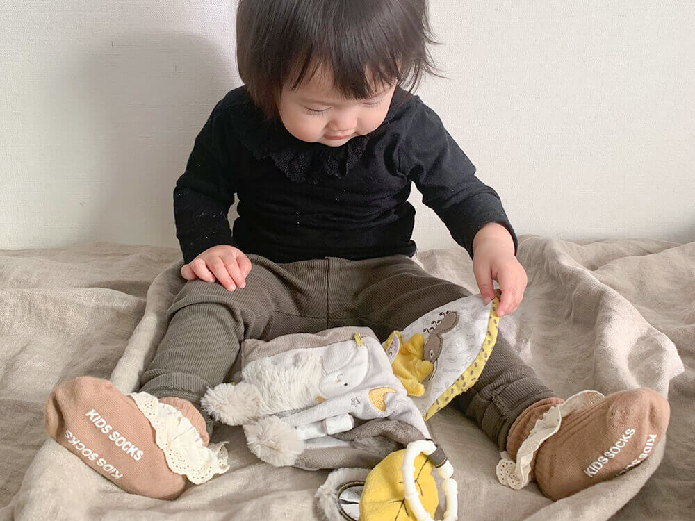 [Fehn Verwaltungs-GmbH]ソフトブック