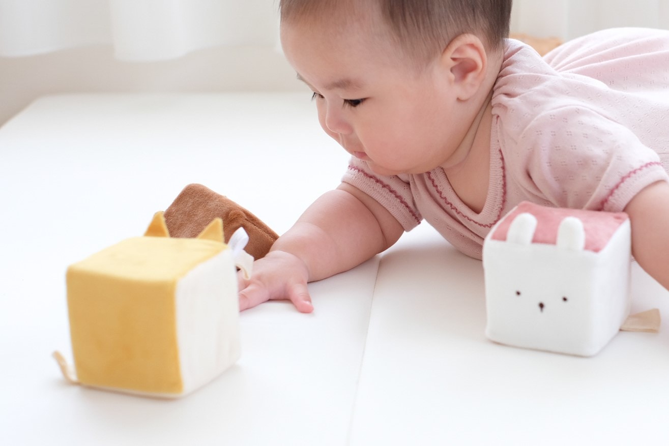 もちふわブロック[cocory friends]