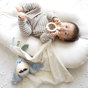 ぬいけっと&プチトイセット[amanoppo]出産祝い