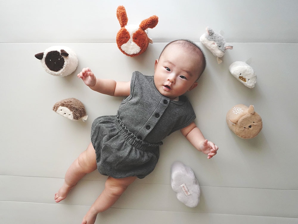 もちふわブロック ふわふわ＋ 森の新しいおともだち[cocory friends]