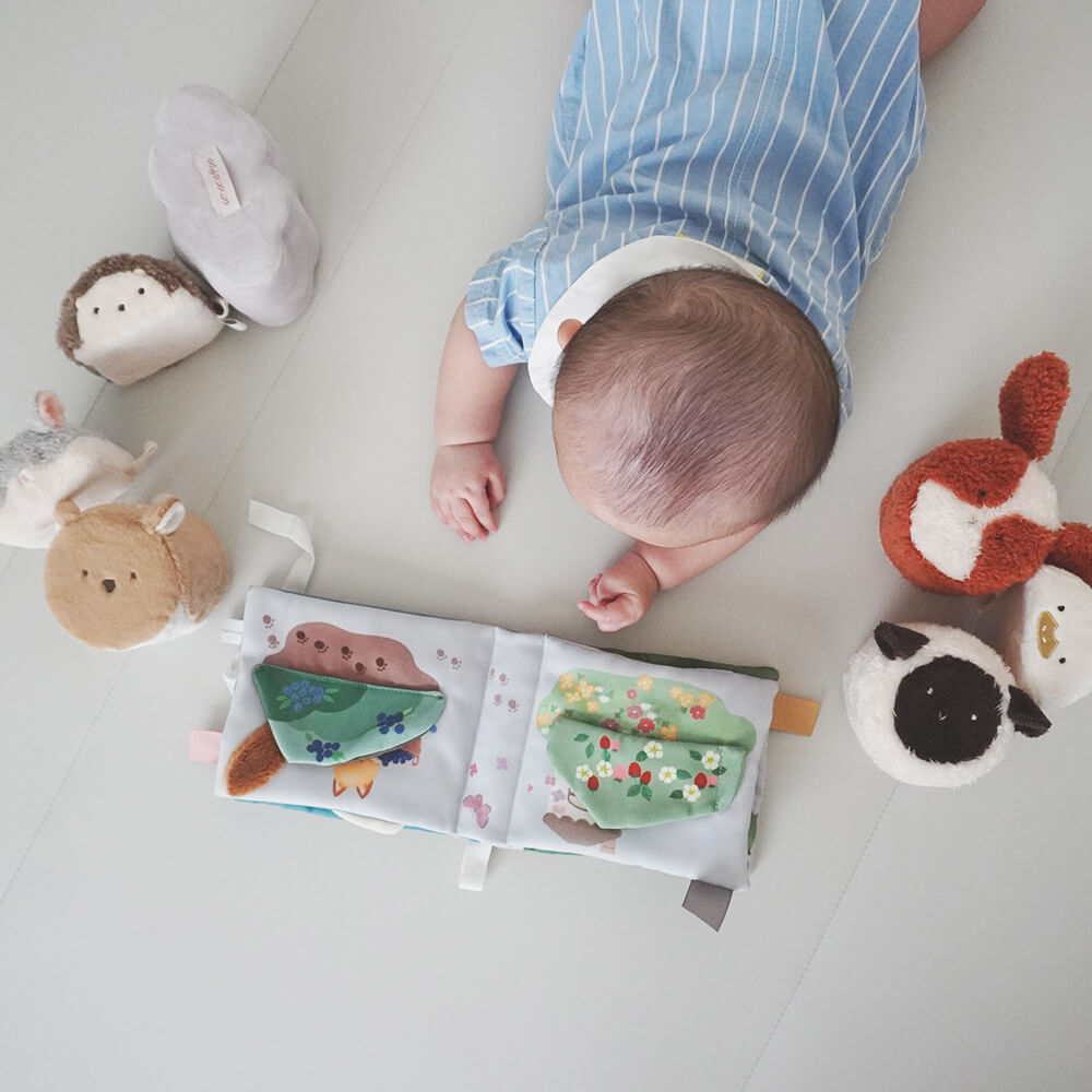 布絵本とふわふわおもちゃのセット[amanoppo]出産祝い