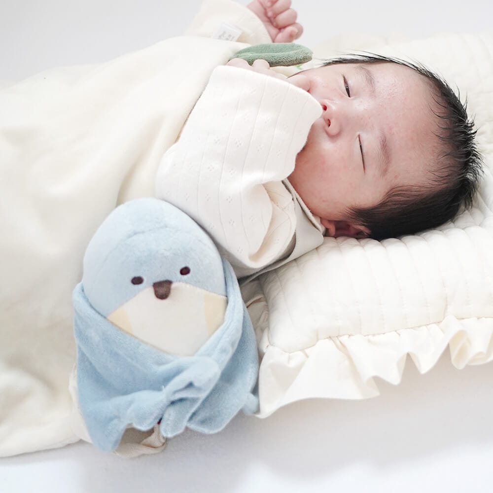 ぬいけっと ちいさな幸せ[cocory friends]