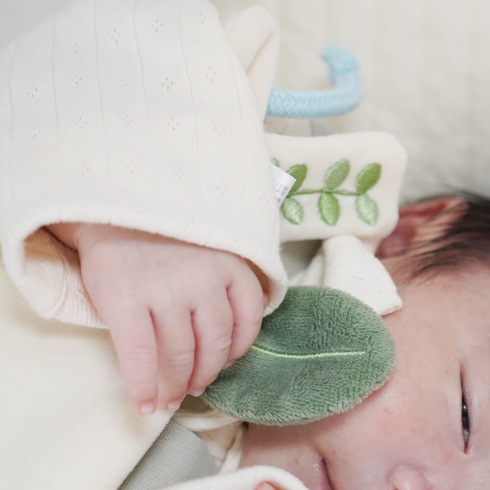 ぬいけっと ちいさな幸せ[cocory friends]