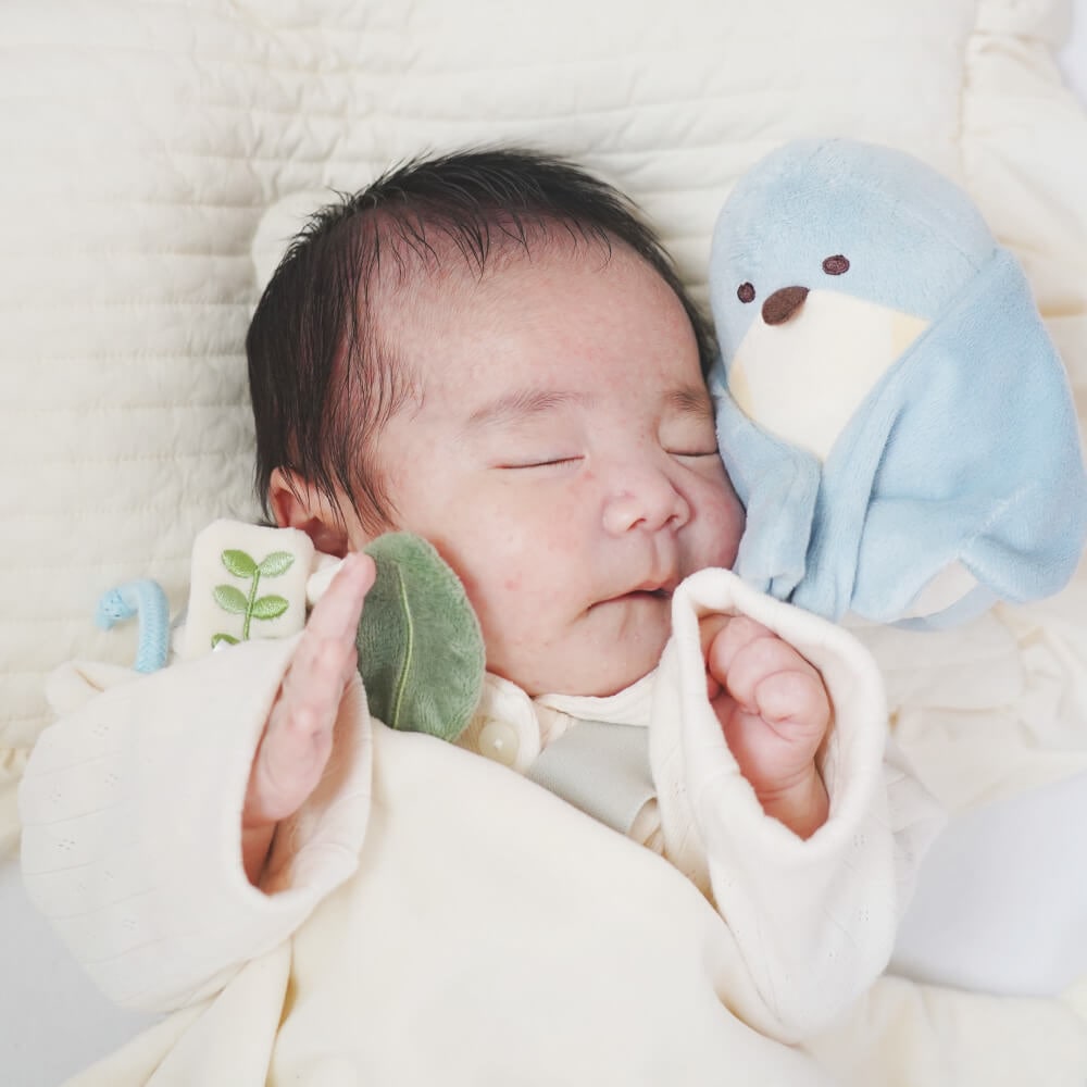 ぬいけっと ちいさな幸せ[cocory friends]