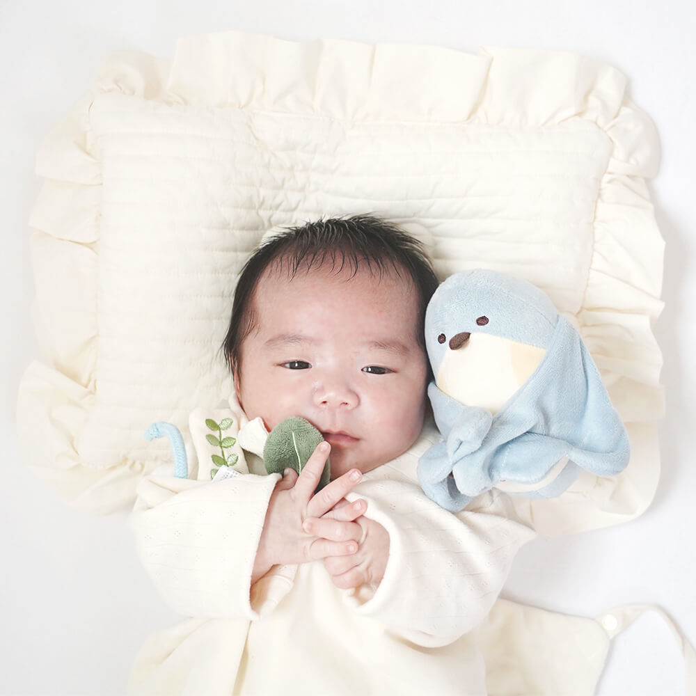 ぬいけっと&プチトイセット[amanoppo]出産祝い