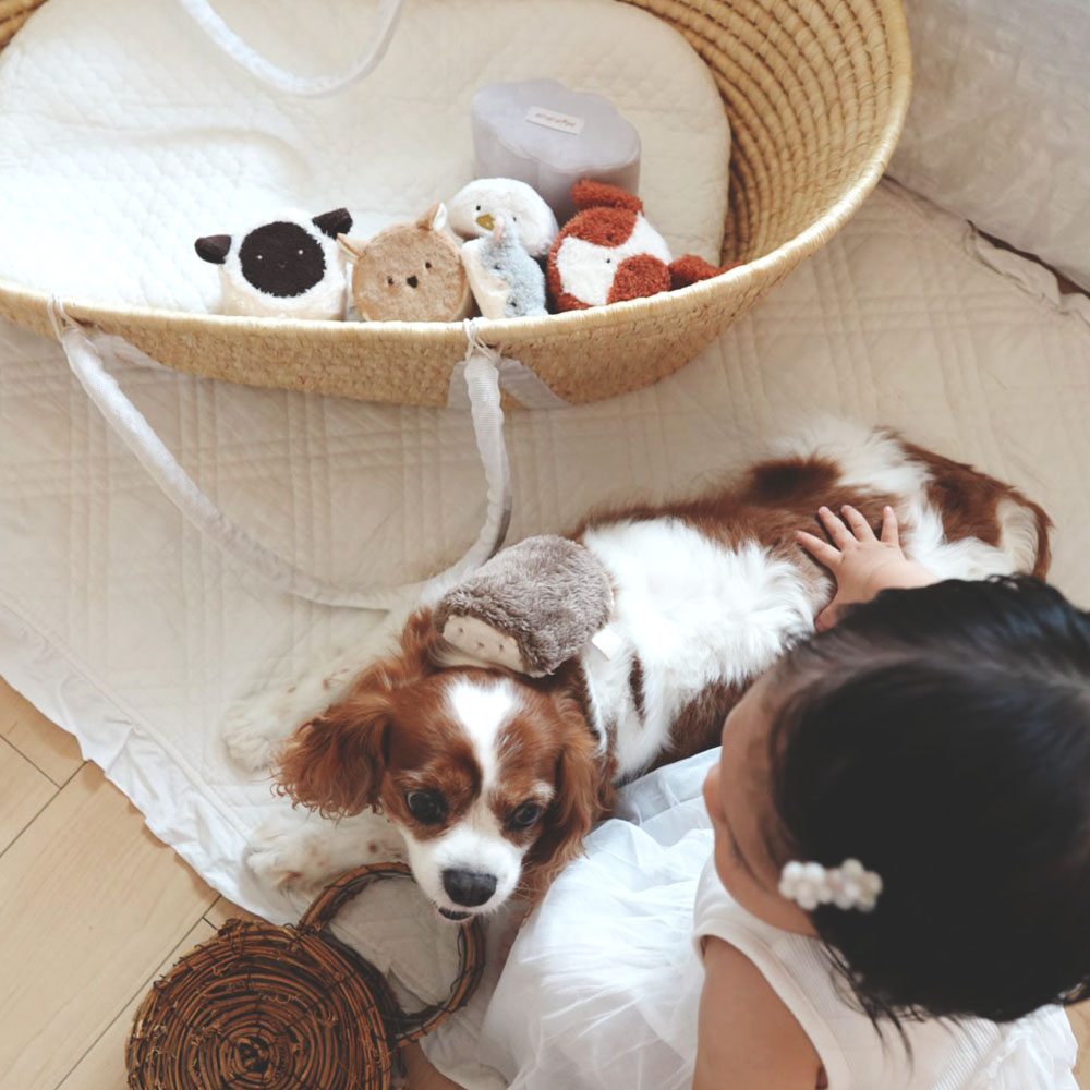 もちふわブロック ふわふわ＋ 森の新しいおともだち[cocory friends]