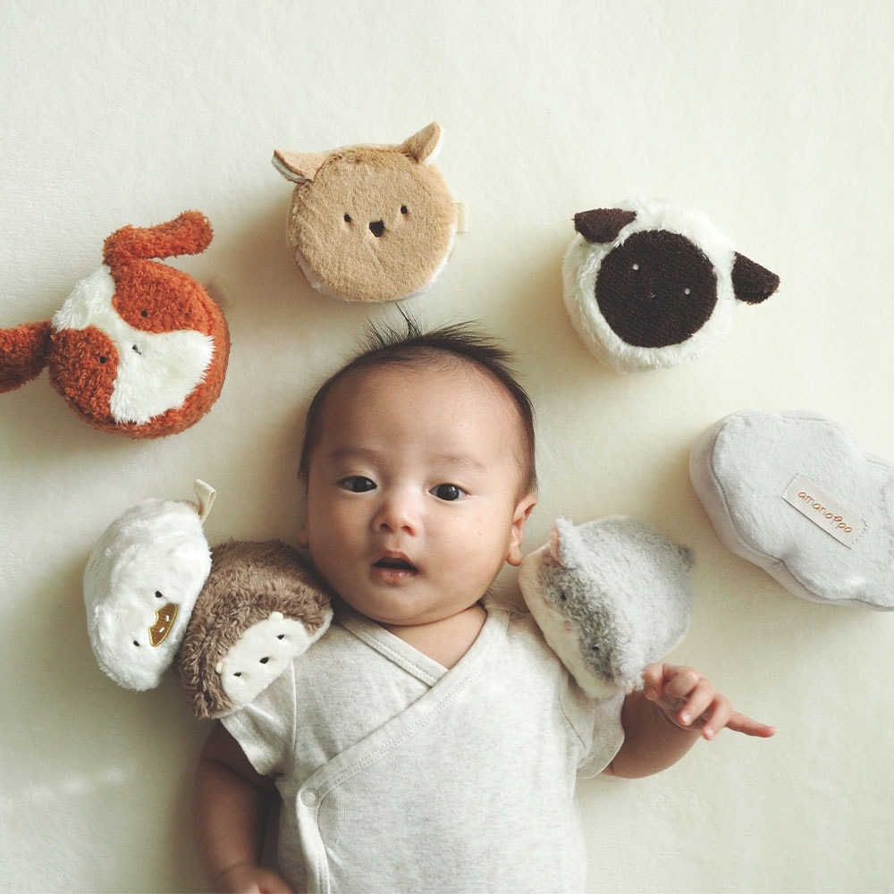 もちふわブロック ふわふわ＋ 森の新しいおともだち[cocory