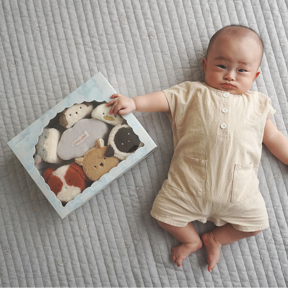 もちふわブロック ふわふわ＋ 森の新しいおともだち[cocory friends]