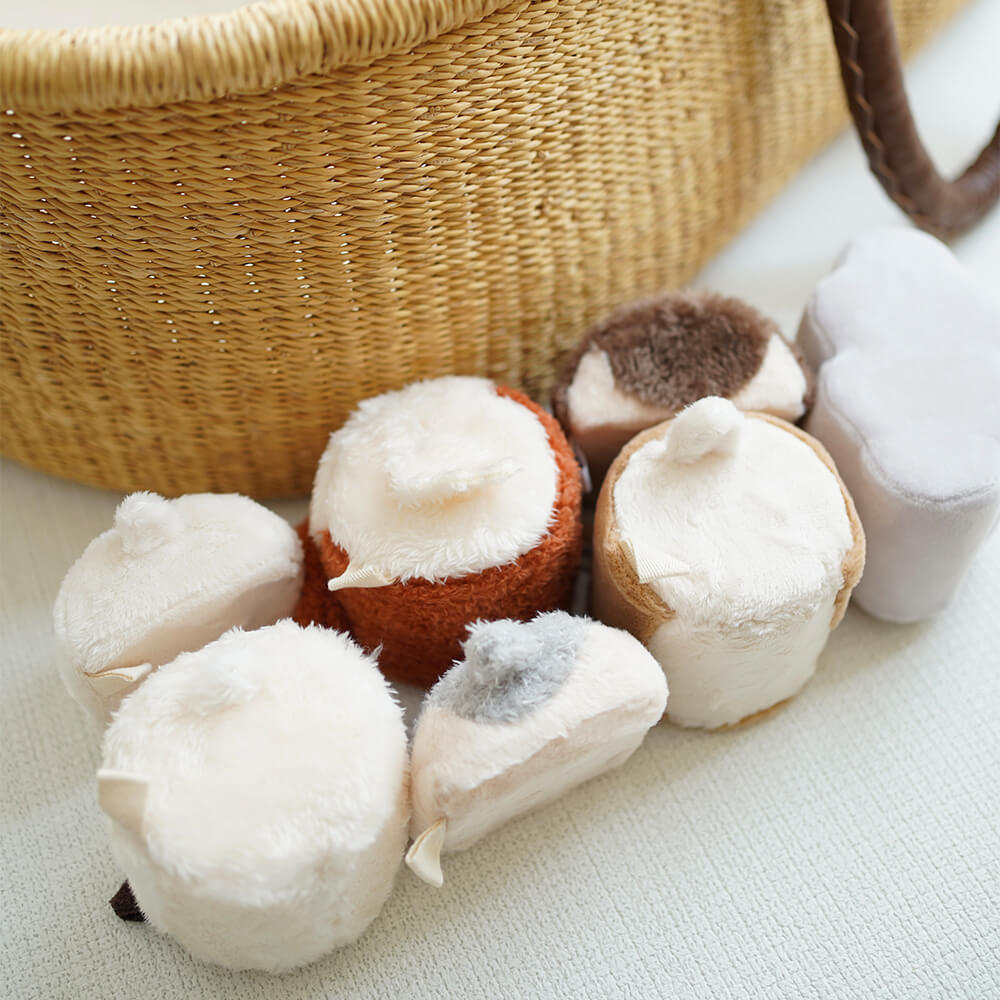 もちふわブロック ふわふわ＋ 森の新しいおともだち[cocory friends]