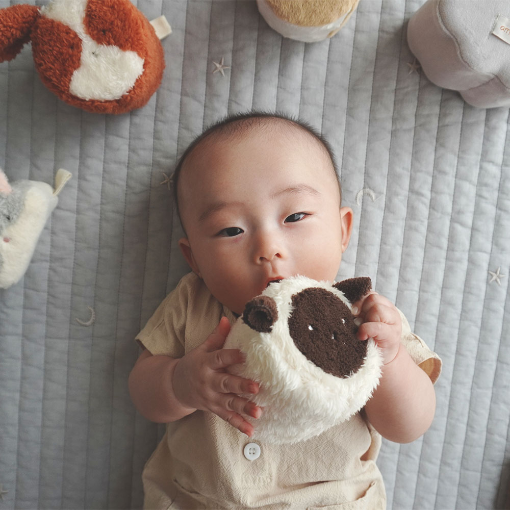 もちふわブロック ふわふわ＋ 森の新しいおともだち[cocory friends]