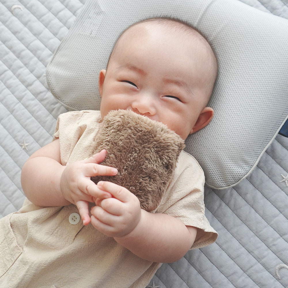 もちふわブロック ふわふわ＋ 森の新しいおともだち[cocory friends]