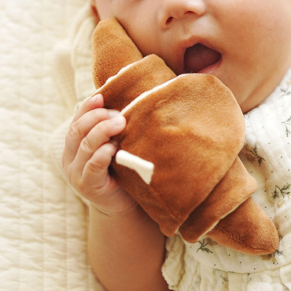 もちっとラトル こぐまくんの焼きたてパン[cocory friends]