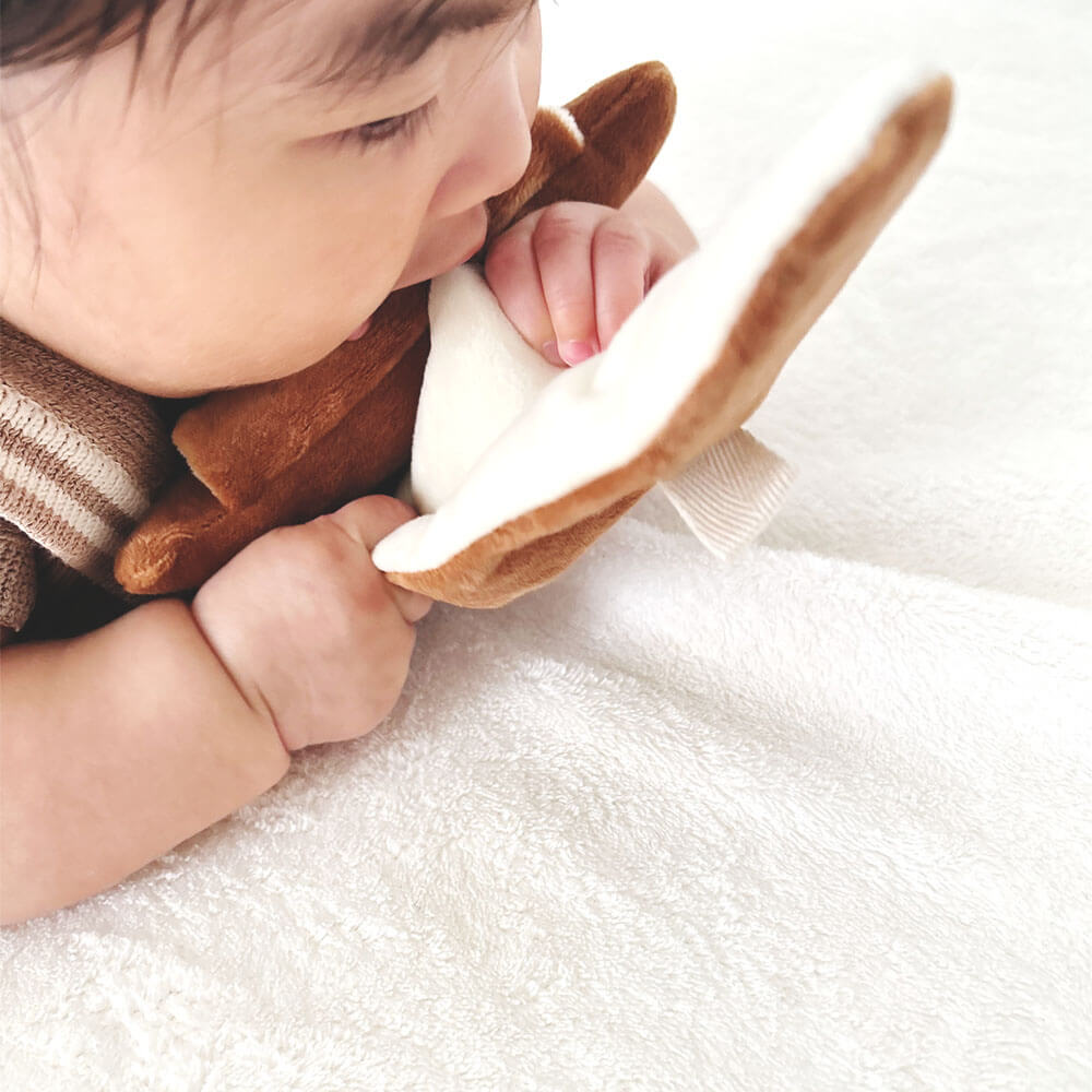 もちっとラトル こぐまくんの焼きたてパン[cocory friends]