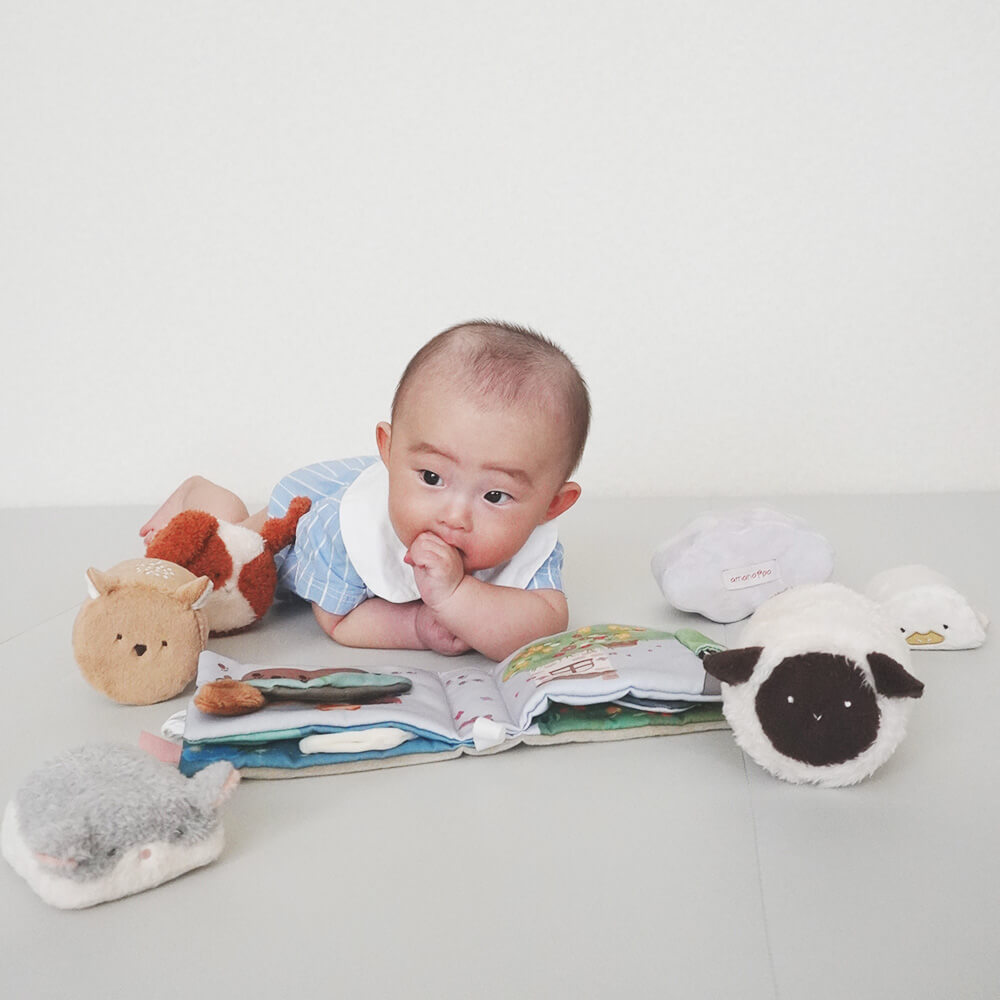 もちふわブロックふわふわ＋とふんわりえほんセット [amanoppo] 出産祝い