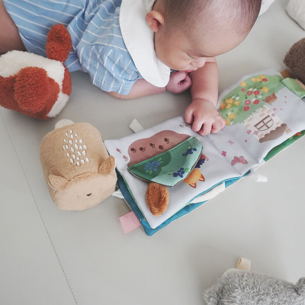 もちふわブロックふわふわ＋とふんわりえほんセット [amanoppo] 出産祝い