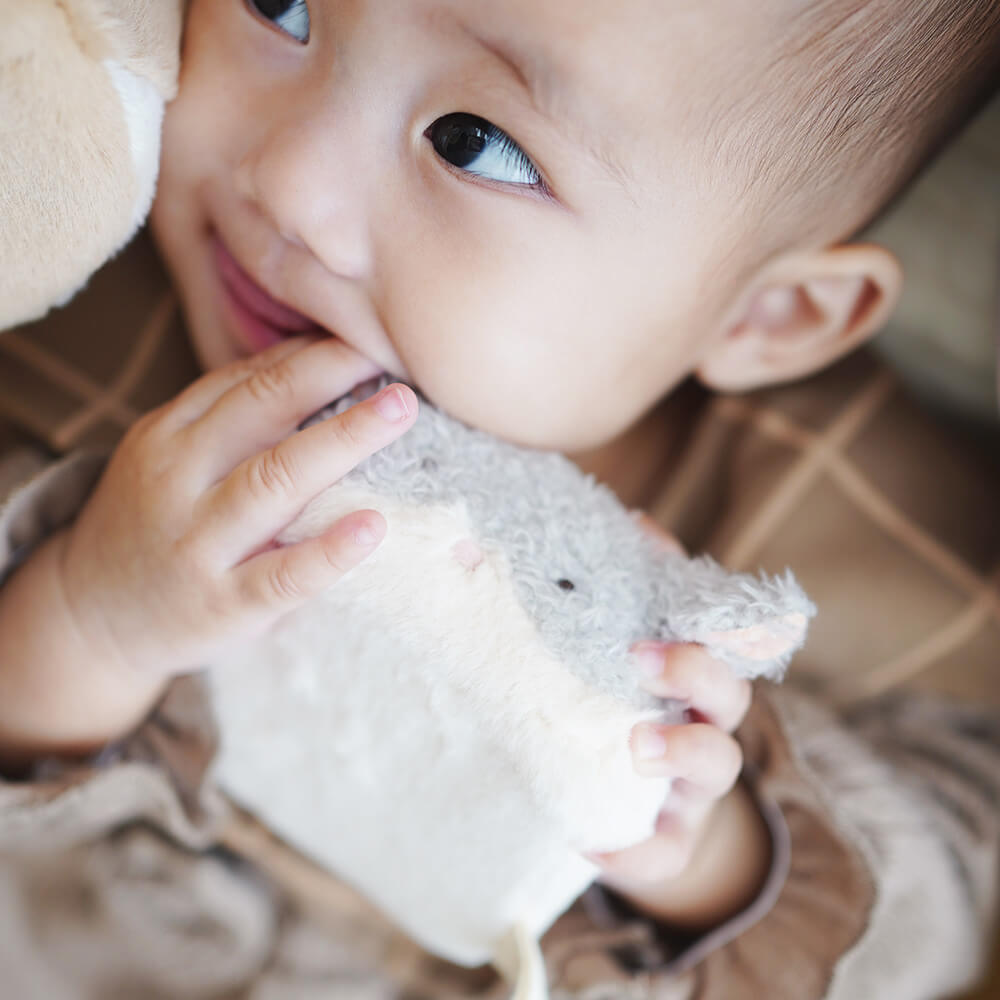 もちふわブロックふわふわ＋とふんわりえほんセット [amanoppo] 出産祝い