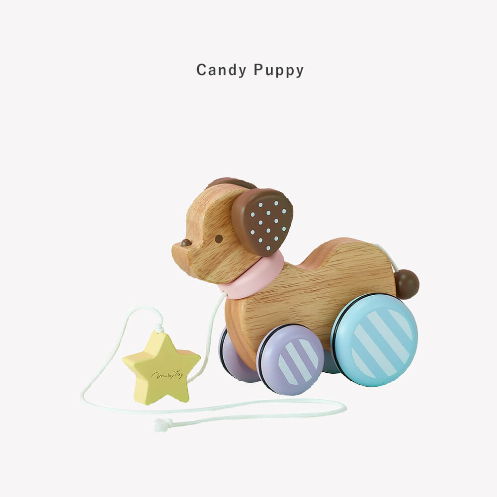 [Ed.Inter]Candy Puppy