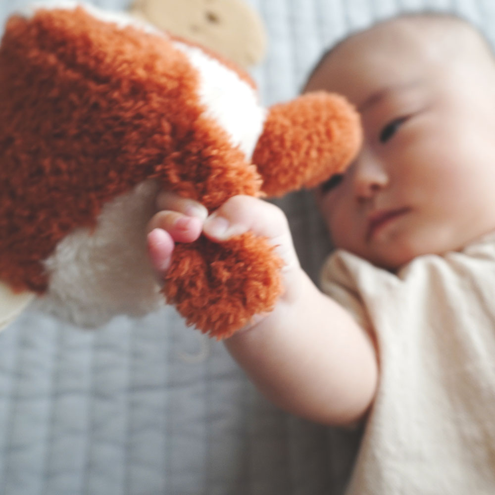 もちっとラトルともちふわブロック ふわふわ+のセット[amanoppo]出産祝い