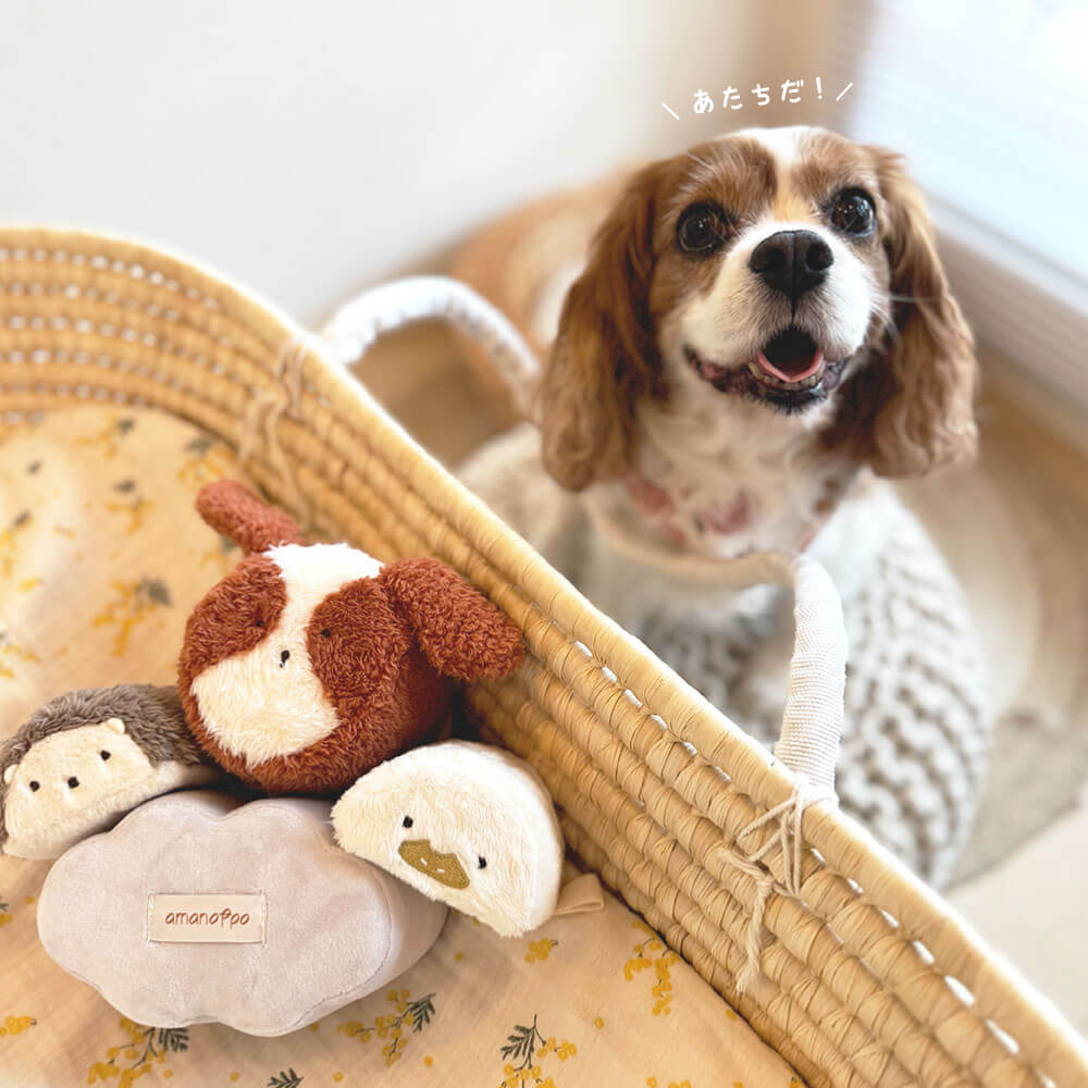 もちっとラトルともちふわブロック ふわふわ+のセット[amanoppo]出産祝い