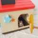 ようこそ！森のわくわくハウス (※ラッピング非対応商品)