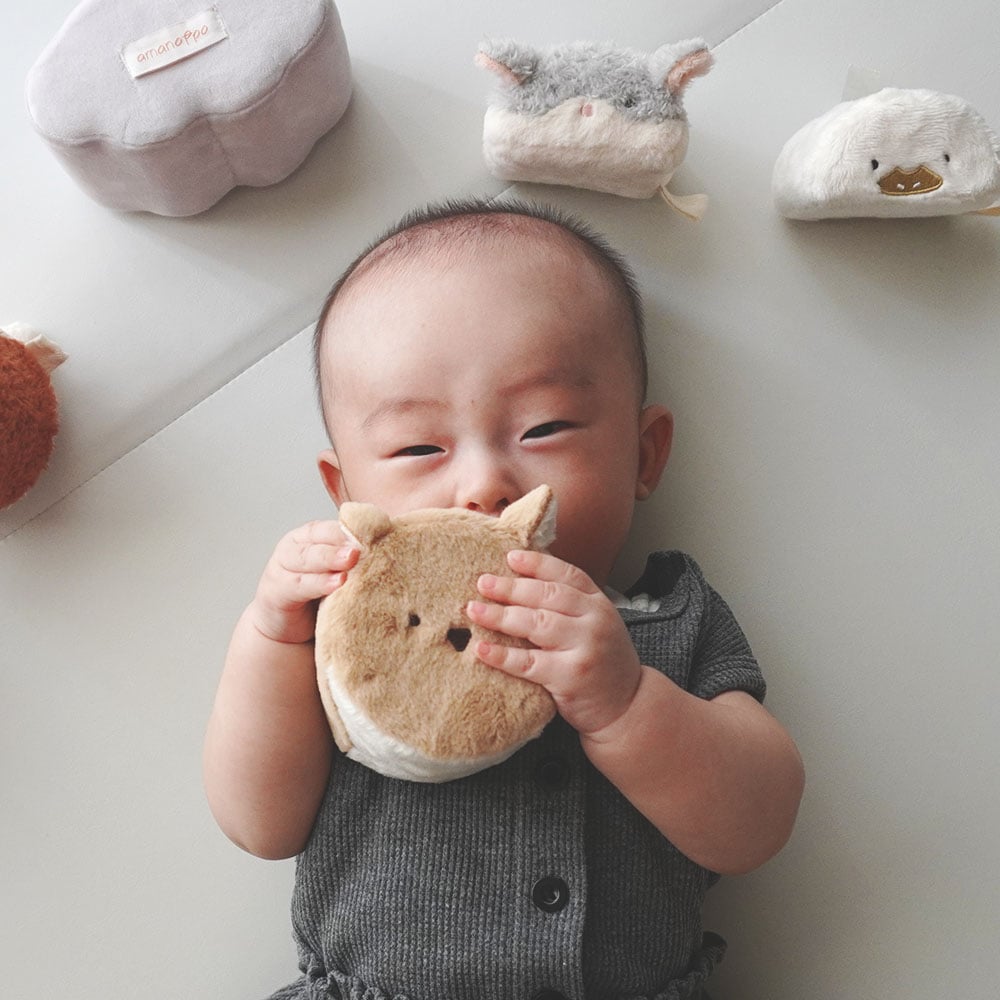 もちふわブロック[cocory friends]