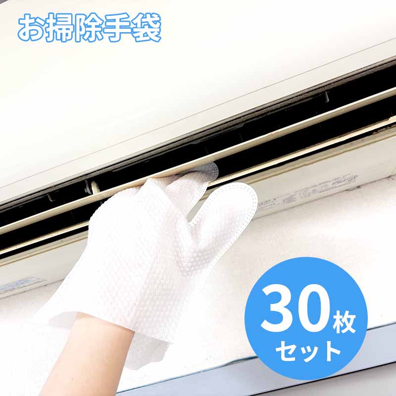 使い捨て お掃除手袋 5本指 Clara 楽っとハンドDeおそうじ 30枚入り DXCY001A おそうじ グローブ 不織布
