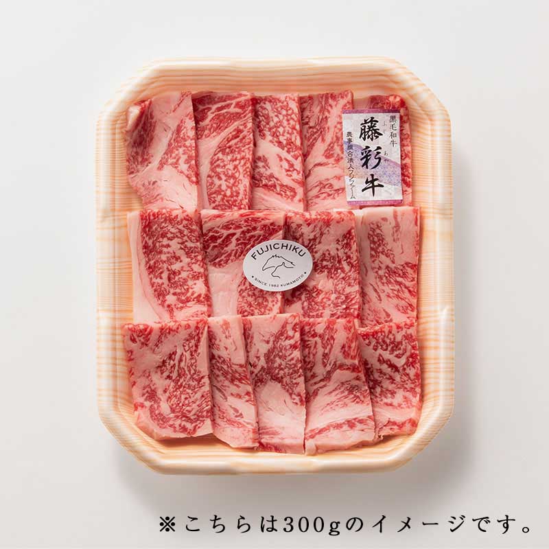 ������̵����A5-4ƣ�̵� �����������������Ƥ����å� 1kg�ڲ�Ǯ�ѡ�