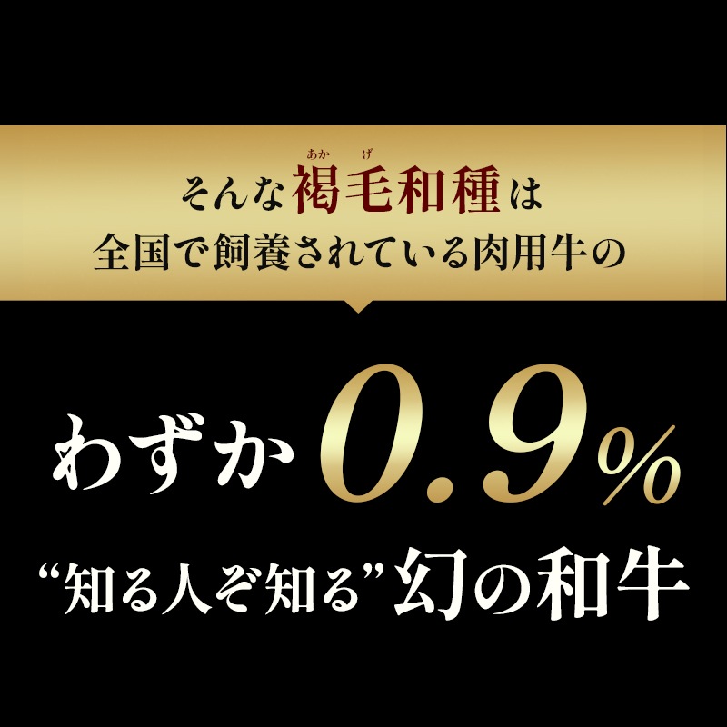 ̵ۤ 饤 400gԤƤ֤ѡ