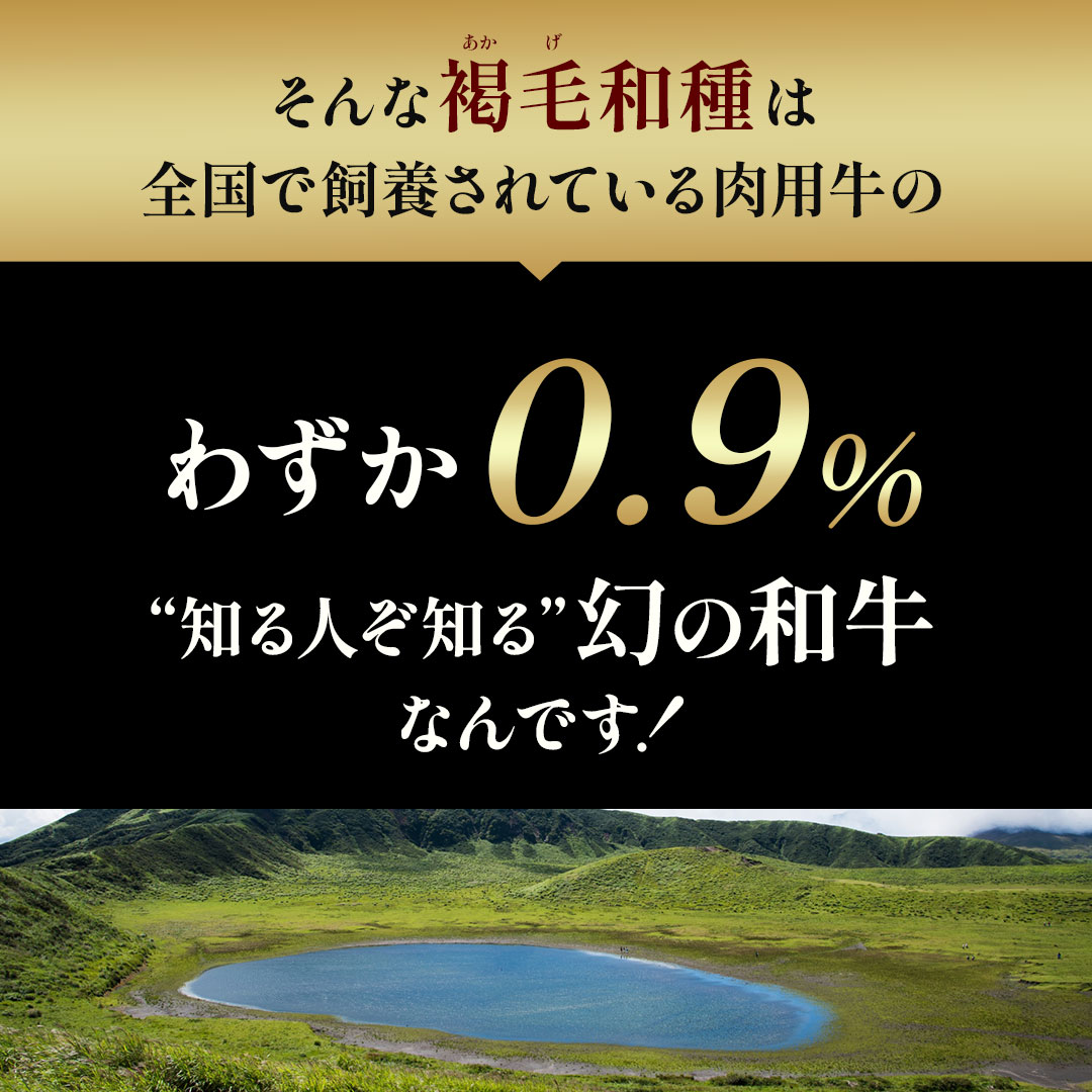 ��������å� 40g ��å��Υ�����