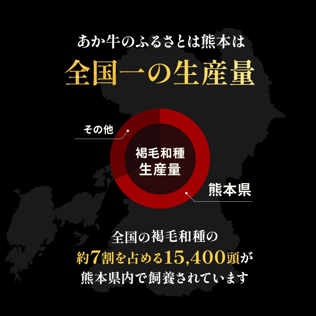 ��������å� 40g ��å��Υ�����