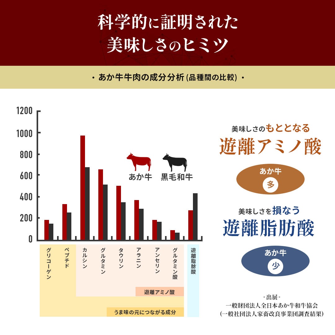 ������̵���ۤ�������å� 40g��4 ��å��Υ�����