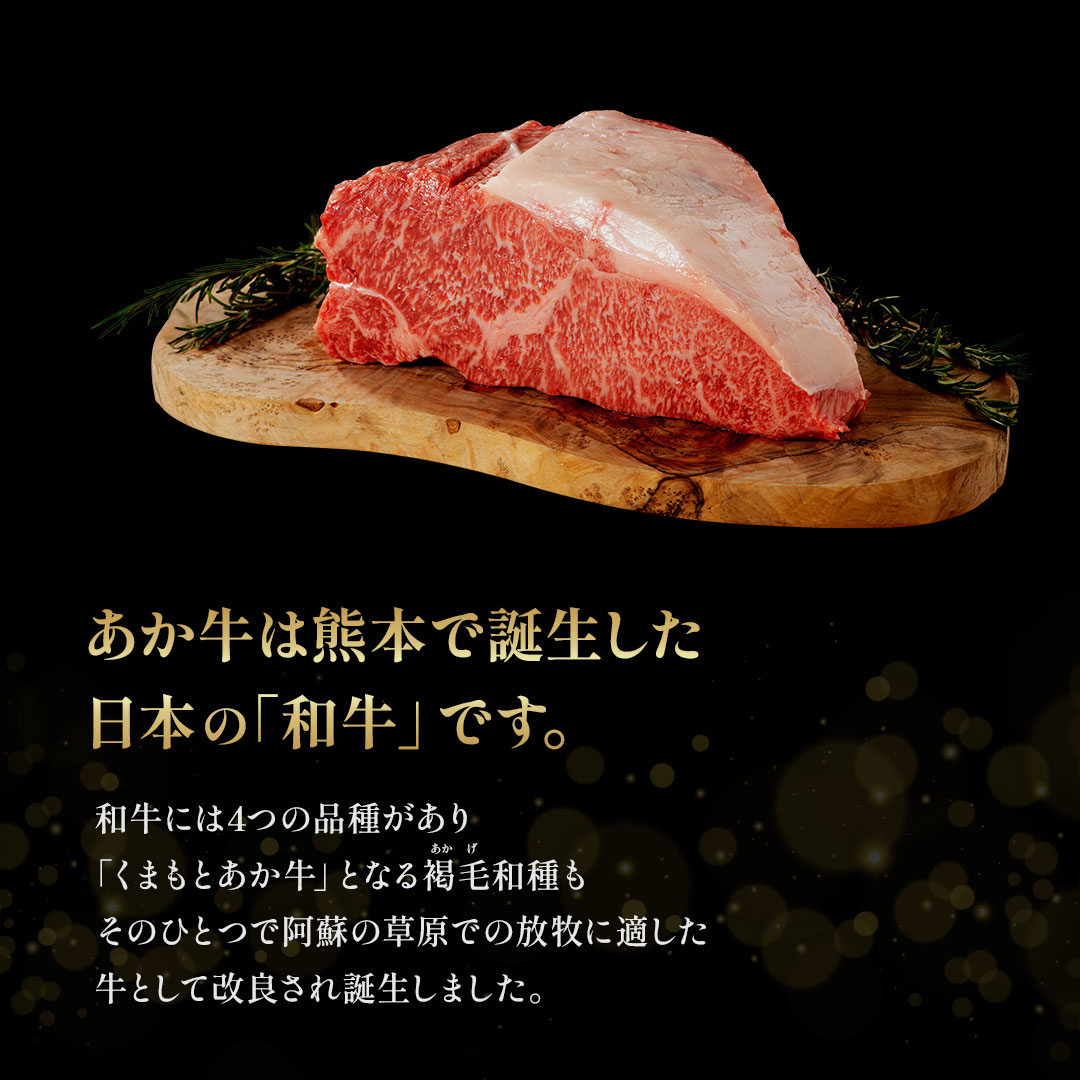 ������̵���ۤ�������å� 40g��10 ��å��Υ�����