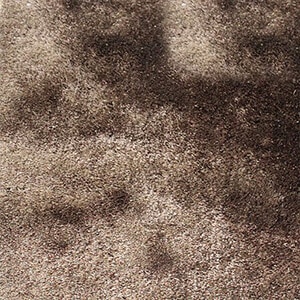 【songdream】ラグモカ