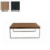 【songdream】DRAKE（ドレイク）センターテーブル