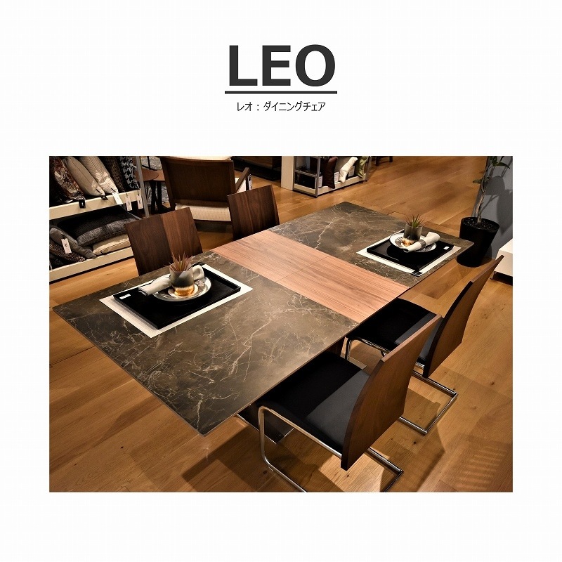 セット販売A　◇songdream　LEO(レオ)　 ダイニングチェア　2脚 songdreamオフィシャルショップ】LEO(レオ) ダイニングチェア