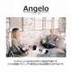 【songdreamオフィシャルショップ】Angelo(アンジェロ) バックレストクッション