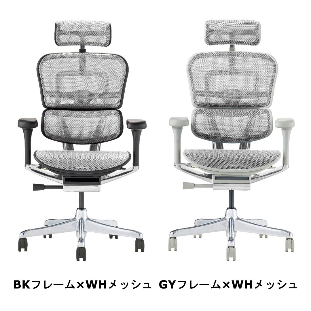 オフィスチェア デスクチェア 〔ロータイプ グレーフレーム×ブルー〕 肘付き リクライニング エルゴヒューマン エンジョイ2〔代引不可〕 オフィスチェア デスクチェア 〔ロータイプ グレーフレーム×ホワイト