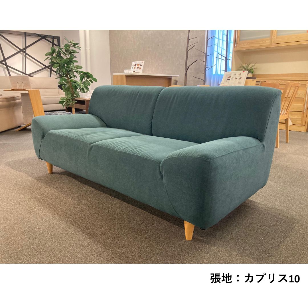 Brad ブラッド 2.5PWソファ 幅172cm | ソファ,2人掛けソファ | FUJIKA