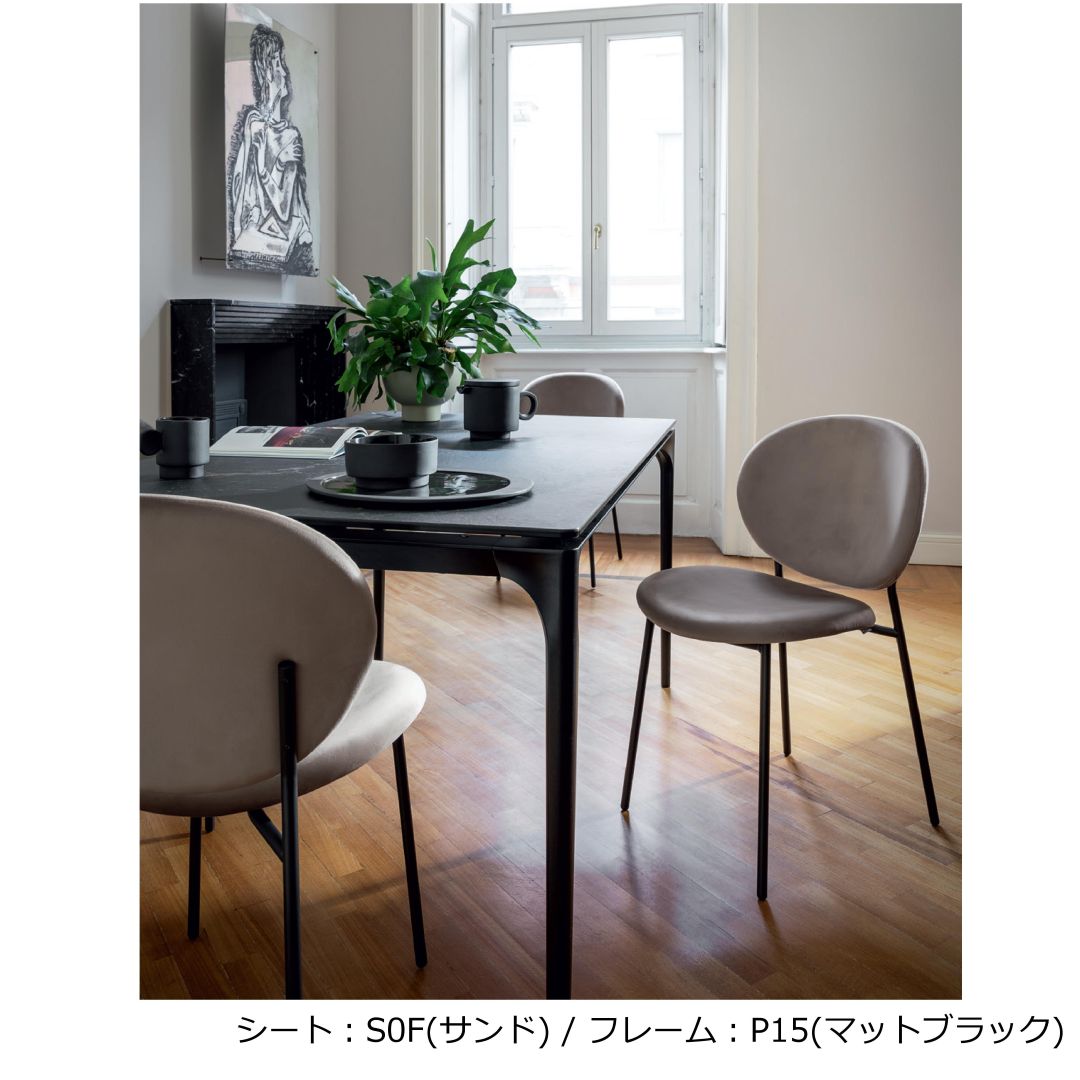 【専用】カリガリス イネス ダイニングチェア ベルベット 2脚セット calligaris カリガリス INES イネス 2脚セット CS2004-J