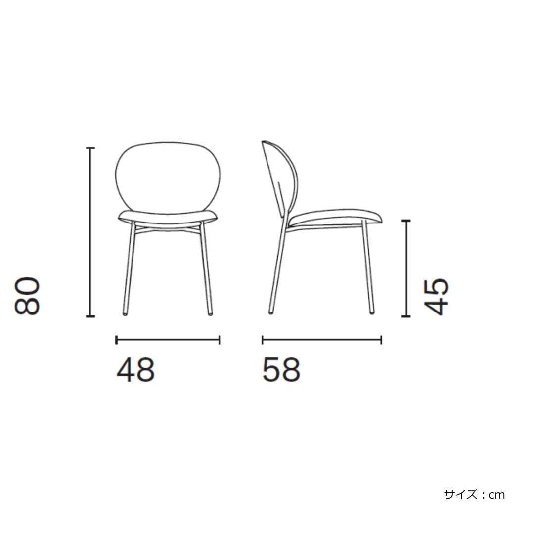 ダイニングチェア Calligaris/カリガリス INES/イネス CS2004-J