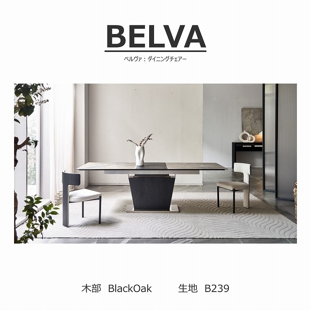 【songdream】BELVA(ベルヴァ)　　ダイニングチェア