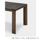 エクステンション ダイニングテーブル Calligaris カリガリス OMNIA ceramic CS4058-R 160