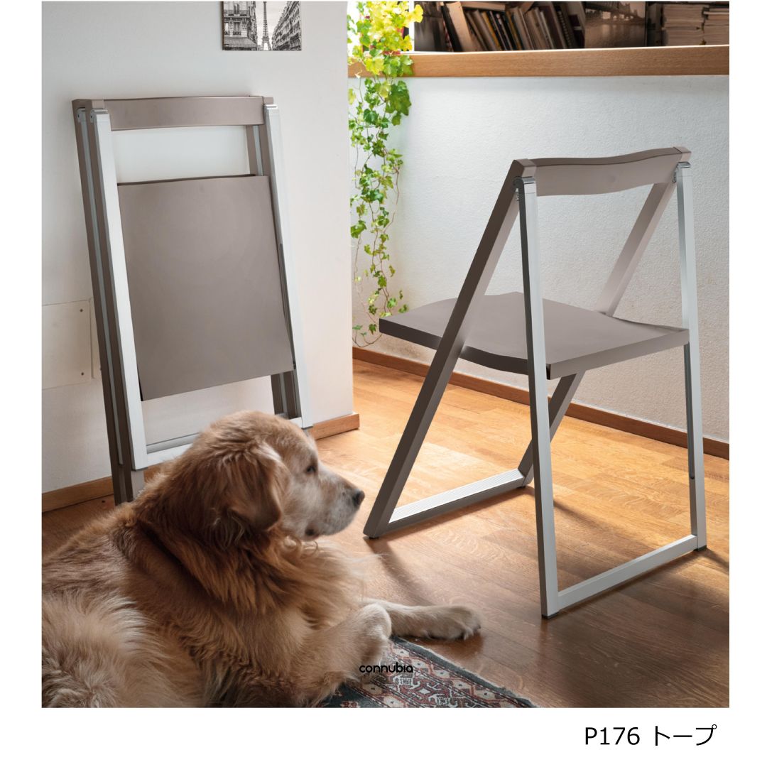 カリガリス　ダイニングチェア ダイニングチェア Calligaris カリガリス FOLDING CHAIR SKIP CB/207