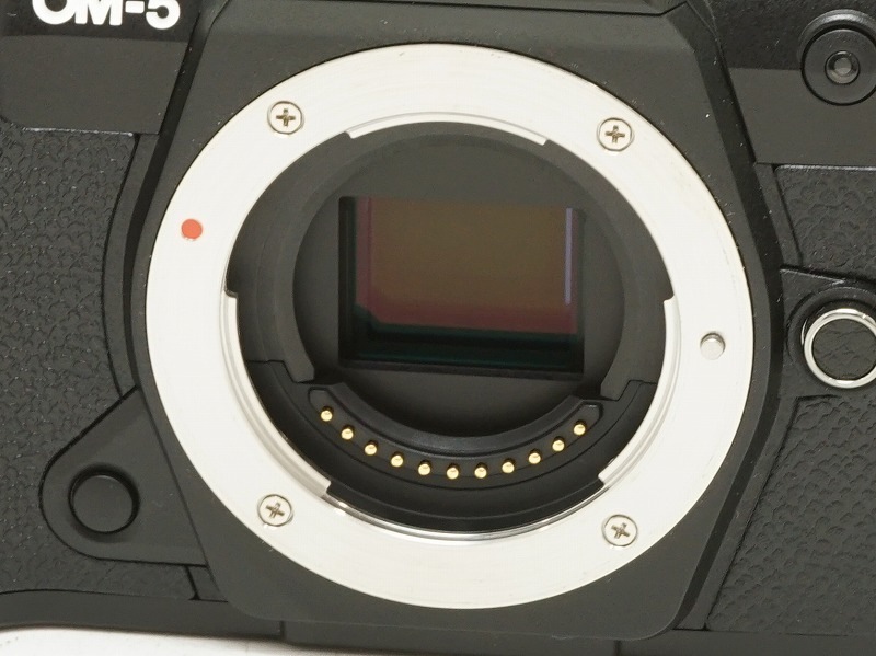 OLYMPUS(�����ѥ�)��OM-5 Mark II��(NJ-7323)