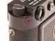 Leica(�饤��)��M2���֥�å��ڥ���ȡ�99���桡(NL-4905)