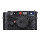 LEICA(�饤��) M6 (10557) �̥ե���५���͡�ͽ�������ۡ�����̤��ۡڤ�����ʡ�